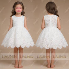 Load image into Gallery viewer, Flower Girl Dresses Lace O Neck Wedding Formal Brithday Princess First Communion Pageant Kids Skirt Customized Made W22-42